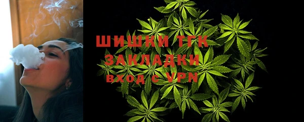 круглые Вяземский