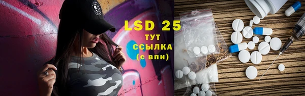 шишки Вязьма