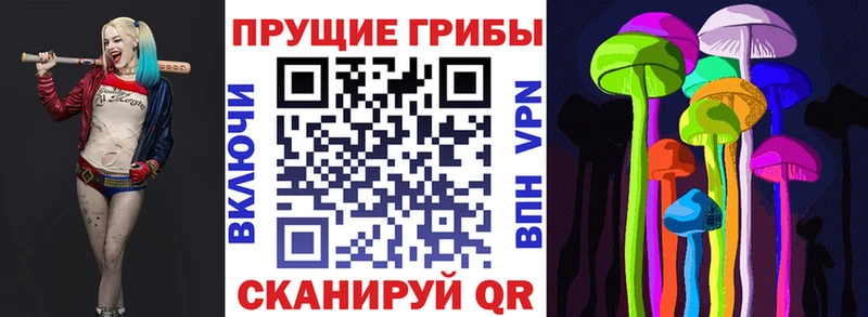 дарнет шоп  Дорогобуж  Псилоцибиновые грибы Psilocybine cubensis 