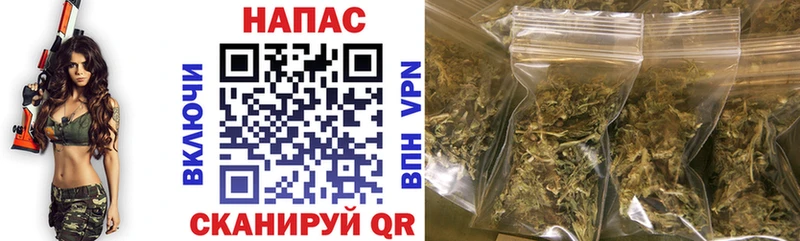 где найти   Дорогобуж  Бошки Шишки Ganja 
